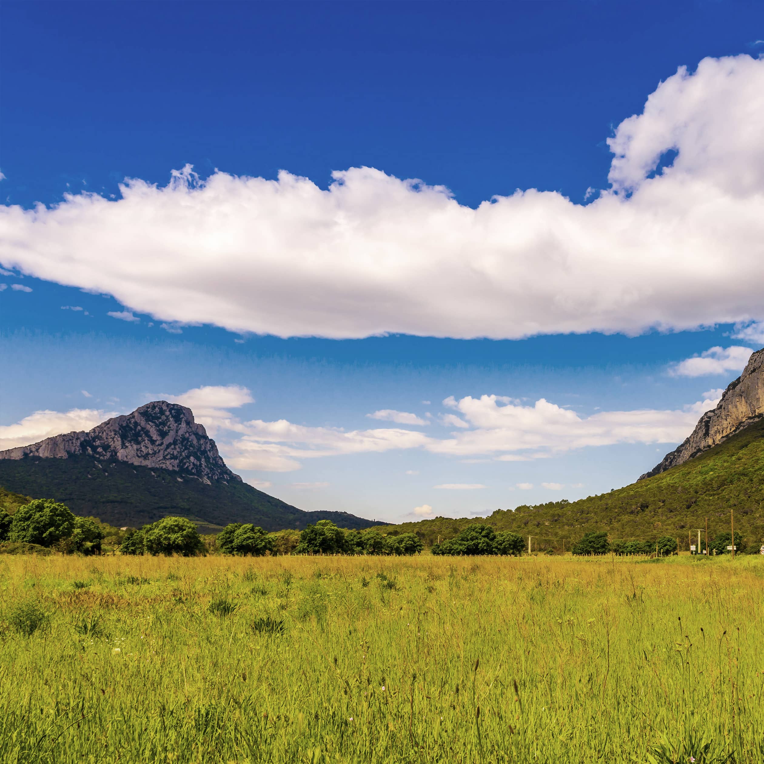 Paysage avec montagnes et prairie verte.