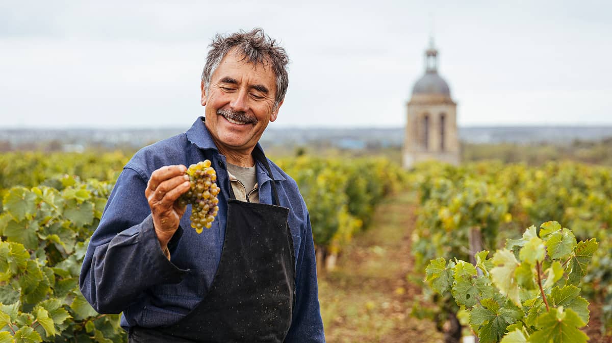 AOC Vins de Vouvray