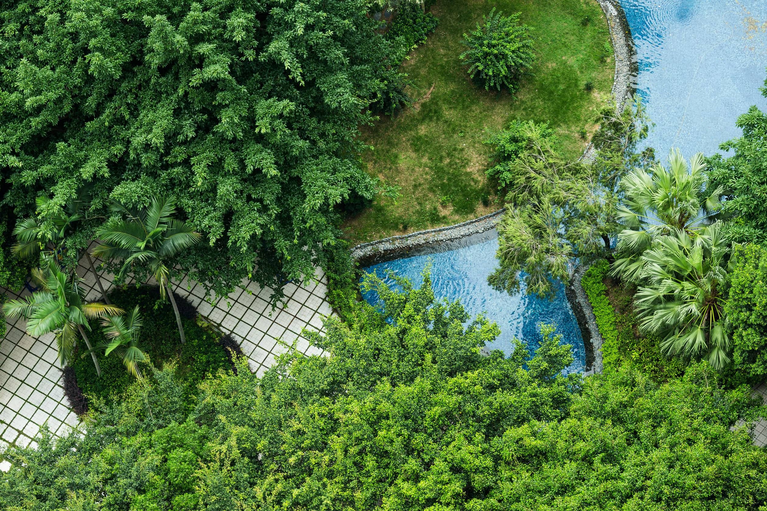 top view of the park 2025 03 25 14 41 28 utc