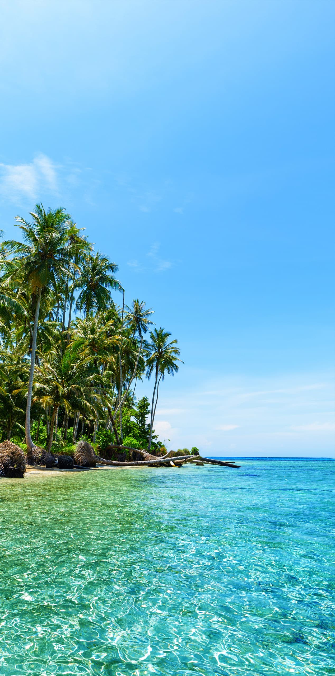 serena residence cover2 Serena Redidence - Agence-web-hotel